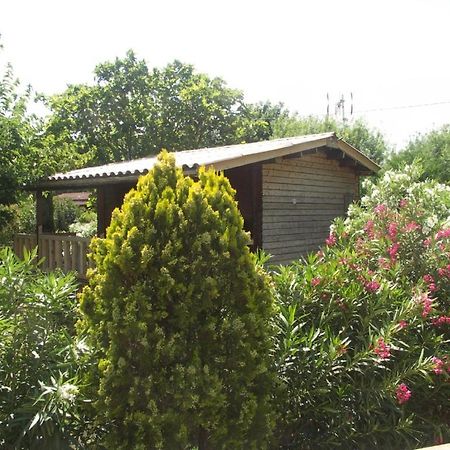 Chalets Roquebrune Sur Argens Villa Buitenkant foto