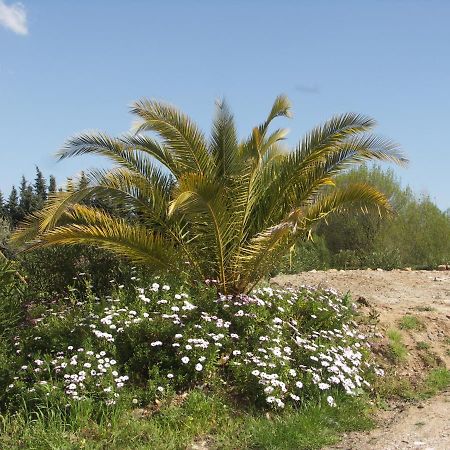 Chalets Roquebrune Sur Argens Villa Buitenkant foto