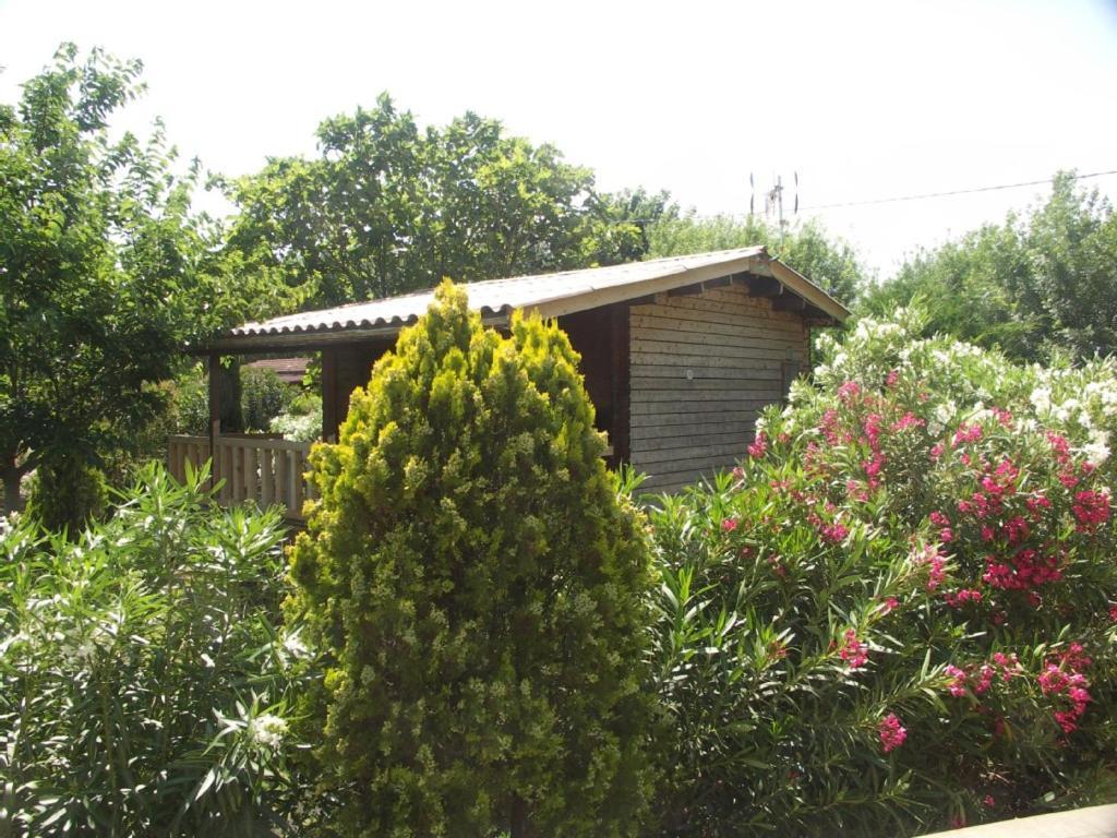 Chalets Roquebrune Sur Argens Villa Buitenkant foto