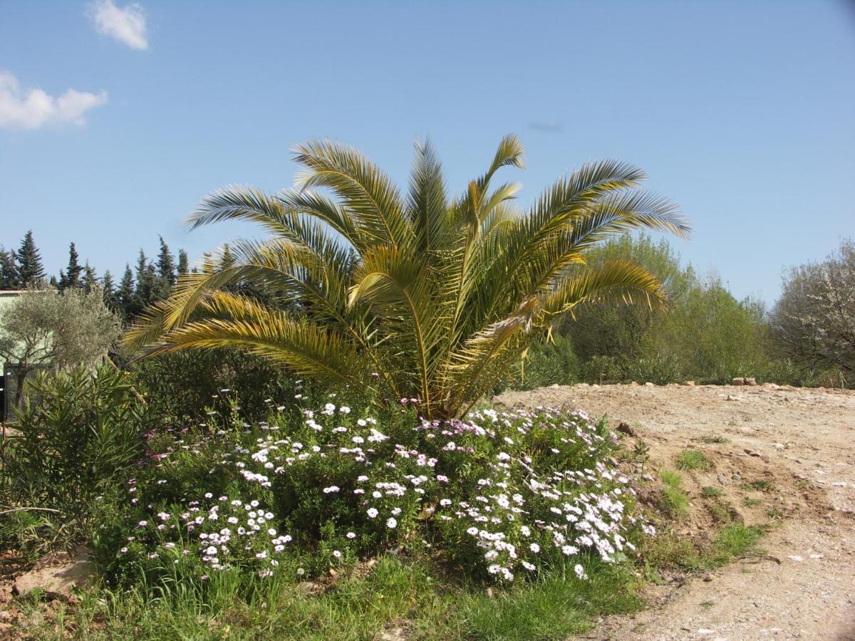 Chalets Roquebrune Sur Argens Villa Buitenkant foto